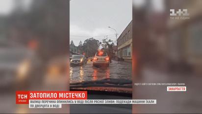 После обильного ливня на Закарпатье затопило целый городок