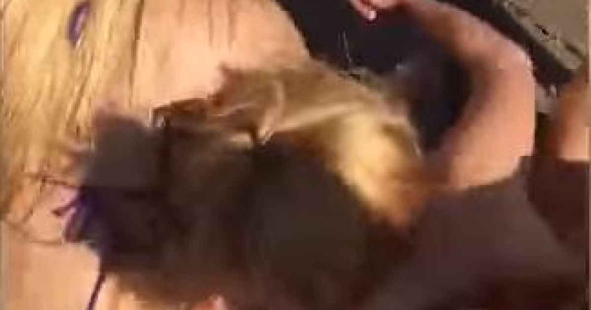 Бикини-драка. В США трое молодых девушек жестоко избили бывшую одноклассницу