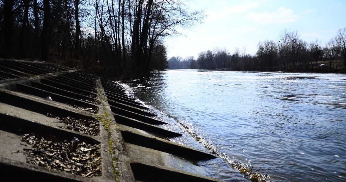 Отравленная река и мертвая рыба заставили селян перекрыть трассу на Житомирщине