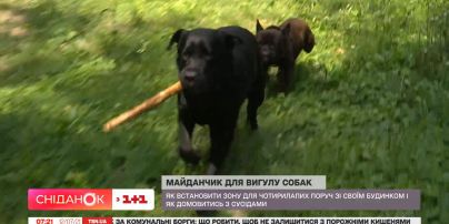 Чому мешканці столичного будинку виступають проти майданчика для вигулу собак