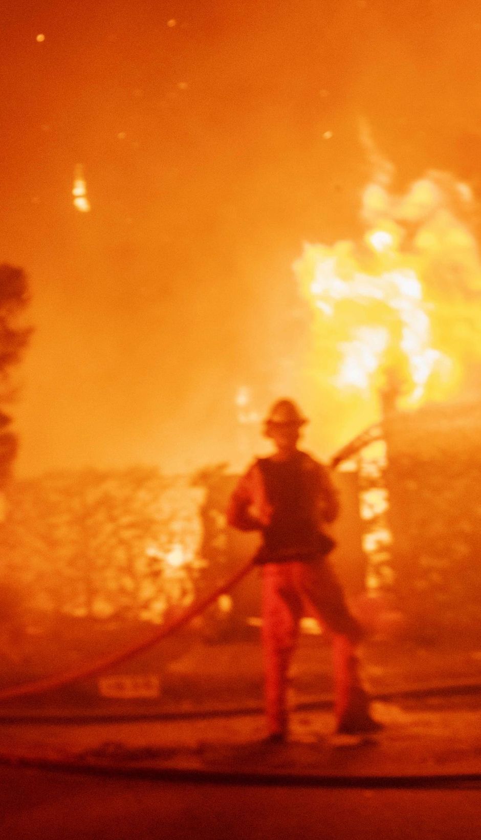 Потужна лісова пожежа охопила елітні околиці Лос-Анджелеса. Від вогню змушені тікати Шварценеггер та інші зірки
