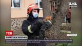 Новости Украины: в Кропивницком пожарные спасали белочку, которая застряла обшивке балкона