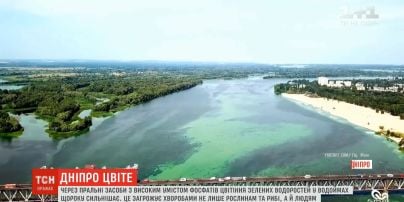 Цветение Днепра: как украинцы могут повлиять на реку