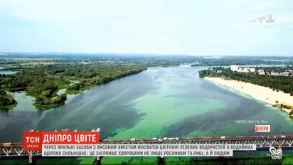 Цветение Днепра: как украинцы могут повлиять на реку