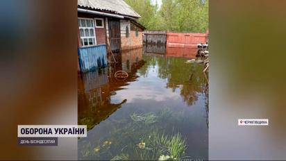 Затоплены огороды, дворы и дома: на Черниговщине Десна вышла из берегов