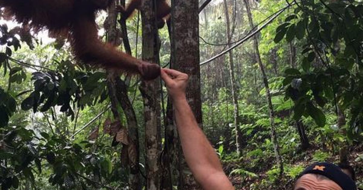 Леонардо Ди Каприо в Индонезии/Инстаграм Леонардо Ди Каприо