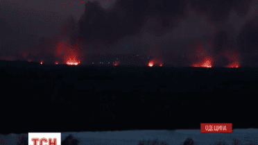 В Одесі сталася масштабна пожежа в заповідній зоні