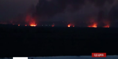 В Одессе произошел масштабный пожар в заповедной зоне