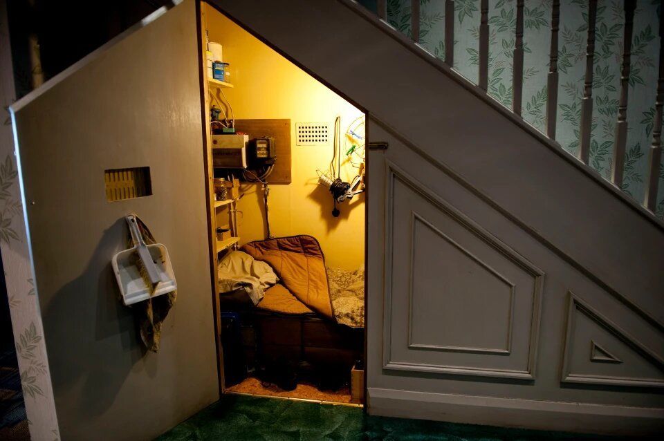 Порно танымал