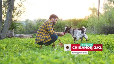 Все о садоводстве с Павлом Демьянчуком - в рубрике "Сніданок на Даче"