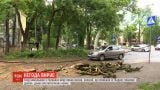 В Одесі сильна злива та буревій повалили дерева