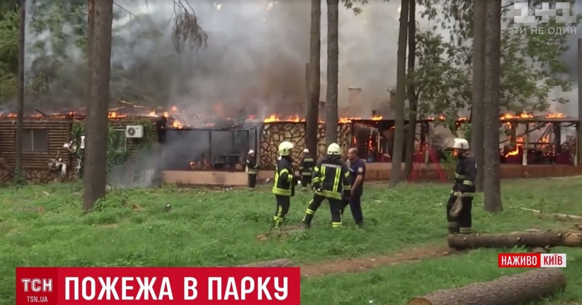 Кухарка героїчно врятувала папугу під час пожежі ресторану в Києві