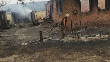 Пожежа у Новокам'янці_3 / © Facebook / Павел Жебривский