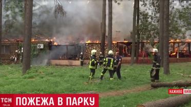 Повариха героически спасла попугая во время пожара ресторана в Киеве