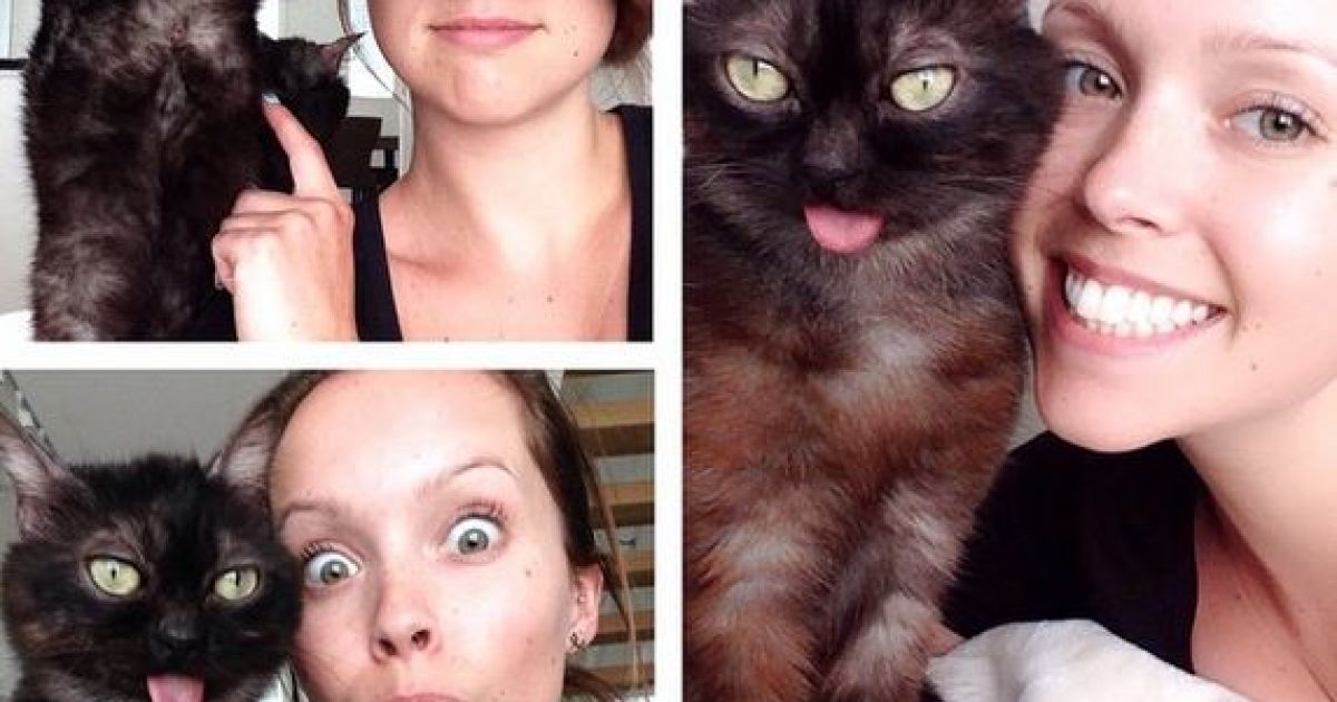 Магу имеет врожденный порок челюсти / © instagram.com/mrmagoothecat