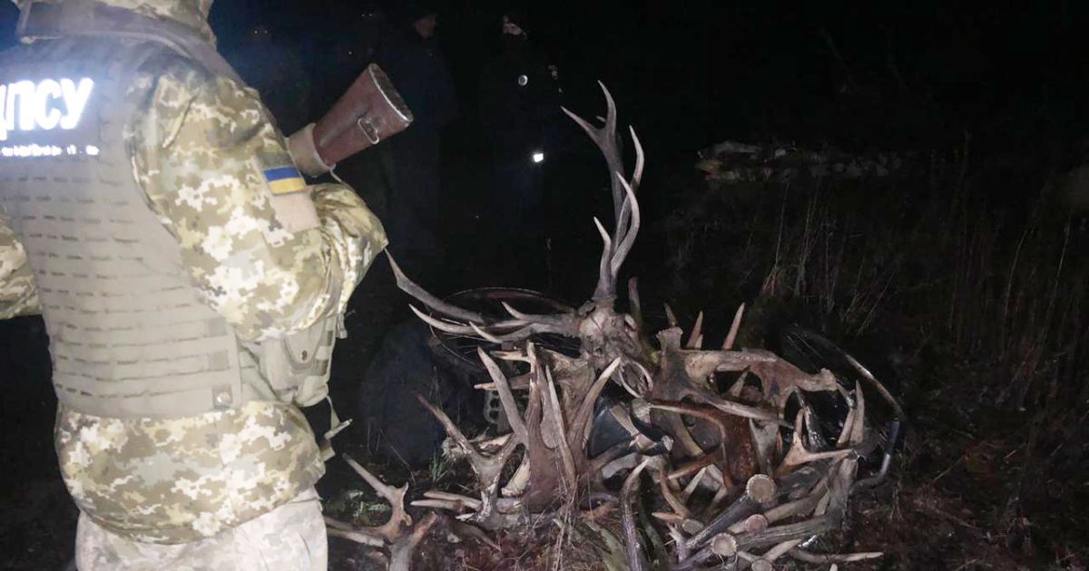 Порушники збирали роги диких тварин у Чорнобильській зоні / © http://dpsu.gov.ua/