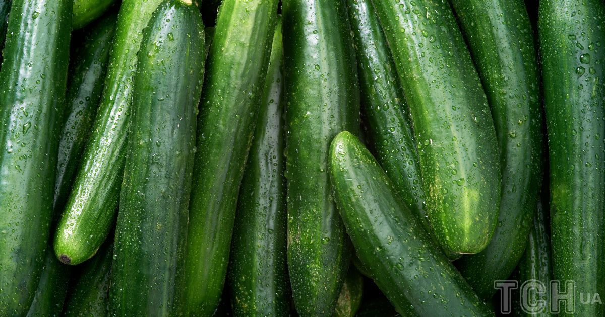 Огірки здорожчали