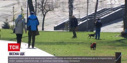 Новини України: на найближчі кілька днів синоптики обіцяють суху, теплу та сонячну погоду