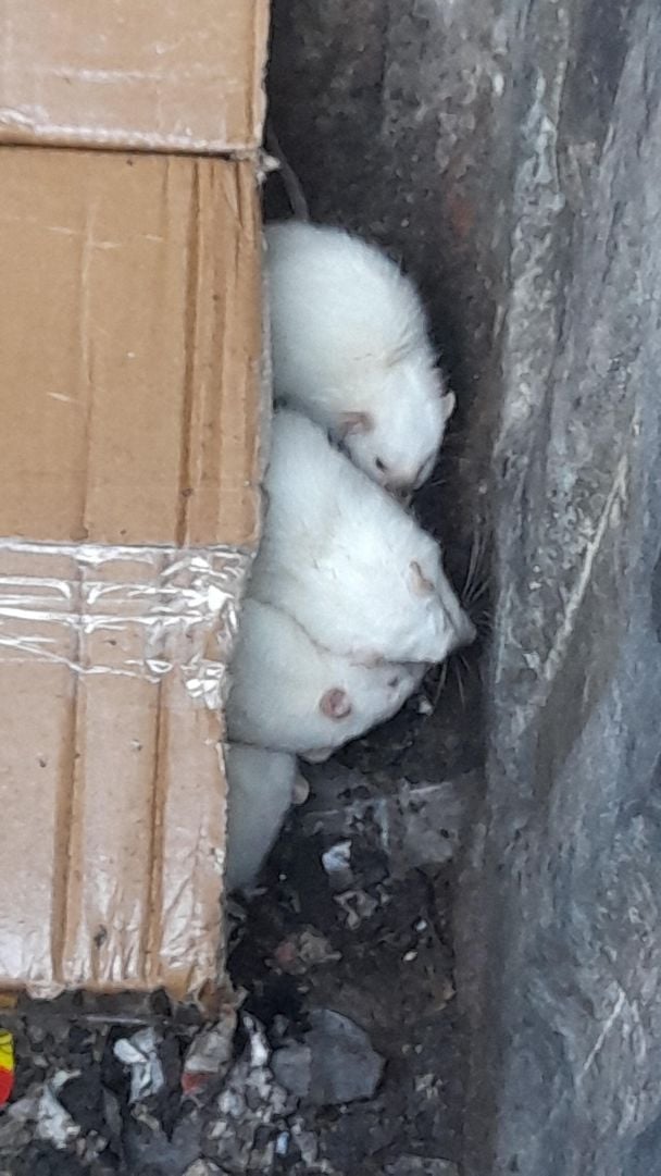 Фото: сообщество "Озеро солнечный" в Facebook