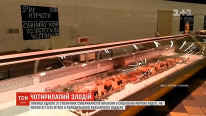 Кот дегустировал мясо прямо в витрине одного из столичных супермаркетов