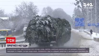 Через негоду знеструмлені понад дві сотні населених пунктів | Новини України