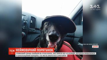 У Дніпрі службовий собака знайшов жінку, яку шукали дві доби