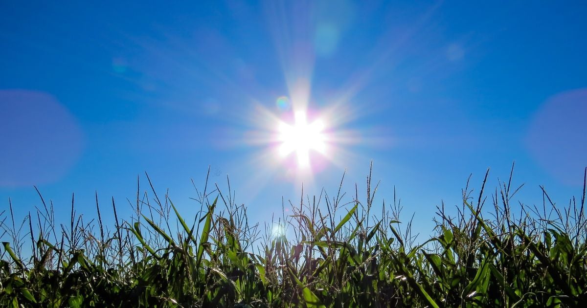 Столбики термометров поползут вверх: в Украину снова идет жара