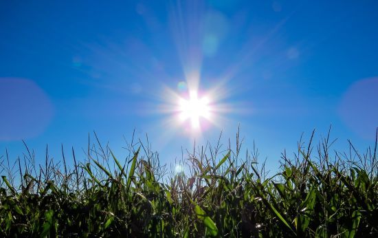 Можливо до +38-40°: синоптикиня назвала регіони України, де домінуватиме нестерпна спека