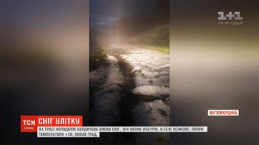 Червневий сніг укрив трасу на Житомирщині