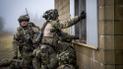 Нидерланды готовили военную операцию на Донбассе сразу после сбития рейса MH17 – De Telegraaf