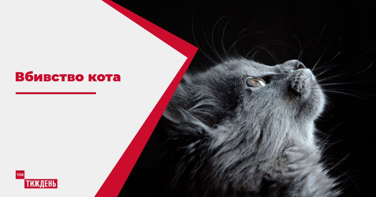 В Житомирской области охотник жестоко убил кота