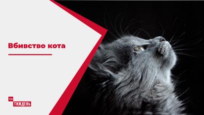 В Житомирской области охотник жестоко убил кота