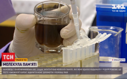 Украинец запатентовал молекулу памяти, которая может помочь в борьбе с болезнями Альцгеймера и Паркинсона