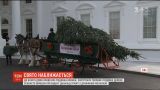 Подготовка к Рождеству: в Белый Дом привезли елки