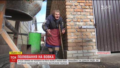 Поймать волка: селяне на Тернопольщине вместе боролись со зверем