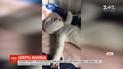 В одесской больнице умер маленький Даня, который упал в ведро с кипятком