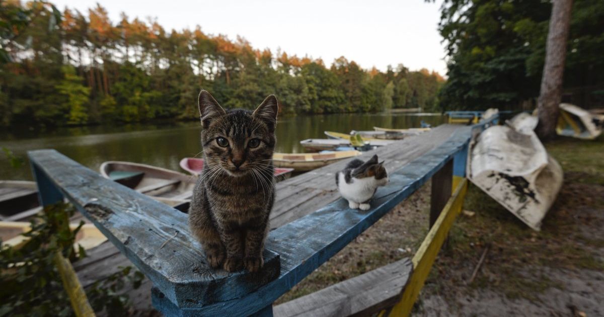 Синоптики предупреждают о резком похолодании с дождями и даже морозами