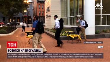 Новини світу: у США на прогулянку вивели робопсів