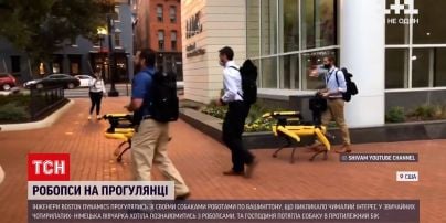 Новини світу: у США на прогулянку вивели робопсів
