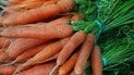 В Україні значно здорожчала морква