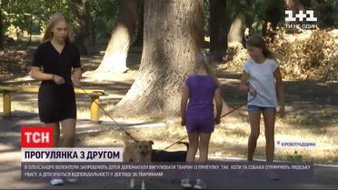 В приюте для животных в Кировоградской области детей учат ухаживать за четверолапыми