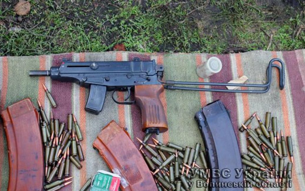 У 29-летнего волынянина дома обнаружили арсенал оружия / © УМВД в Волынской области