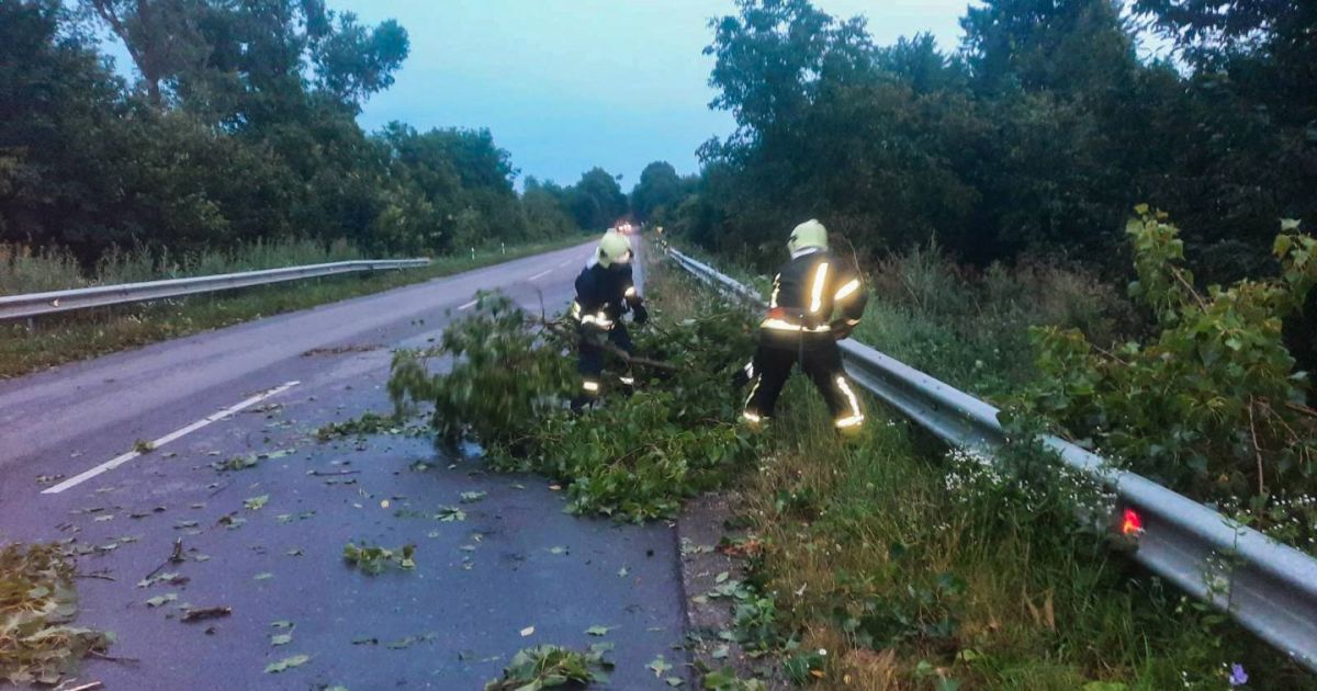 На Хмельниччині буревій повалив дерева.