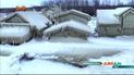 В американский Гамбург пришла весна, но с неприятным сюрпризом