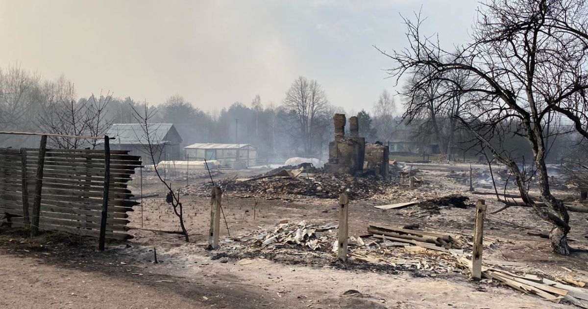 Унаслідок масштабних пожеж у Житомирській області вже згоріли понад 80 будинків і вогонь вирує далі