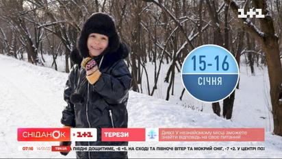 Якою буде погода на вихідних та цікаві факти про сніг від Фросі