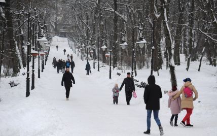 Во Львове из-за снегопадов школы перевели на дистанционное обучение
