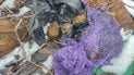 В Подольском районе столицы гражданин обнаружил сверток, который, вероятно, содержал гранаты