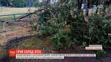 В центральной Украине ураган повалил деревья и рекламные щиты