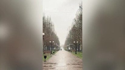 Чернігів - весняний снігопад, відео